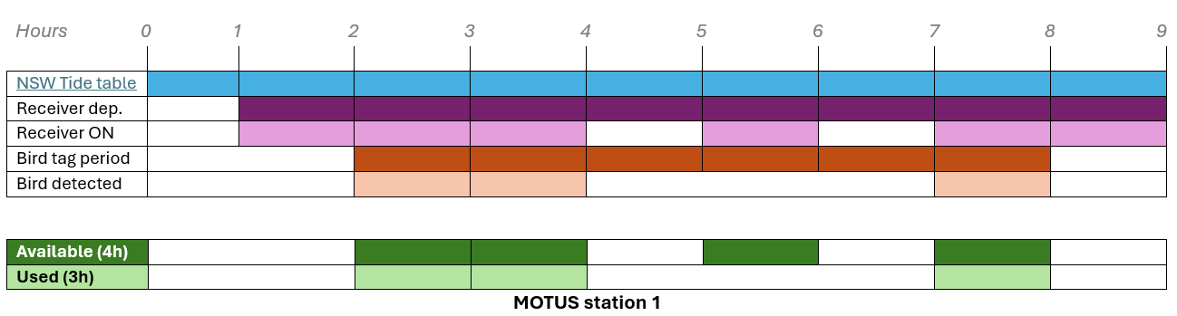 Schema 1: Definition of available and used periods across bird individuals and Motus stations